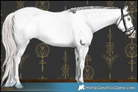 Horse Color:Platinum Buckskin Pearl Mushroom Sabino Near Leopard 