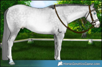 Horse Color:Platinum Buckskin Pearl Mushroom 