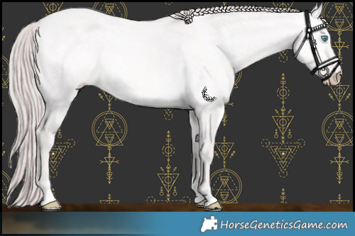 Horse Color:Platinum Perlino Dun Mushroom 