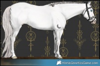 Horse Color:Platinum Perlino Dun Mushroom 
