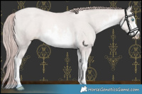 Horse Color:Platinum White Spotted Buckskin Pearl Mushroom 