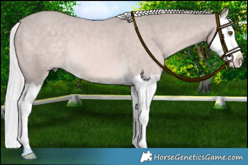 Horse Color:Platinum Palomino Mushroom Splash 