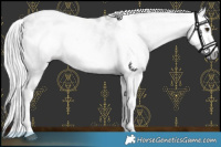 Horse Color:Gray Platinum White Spotted Silver Buckskin Dun Blanket 