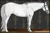 Horse Color:Platinum White Spotted Chocolate Palomino Pearl Dun