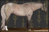Horse Color:Silver Brown Roan
