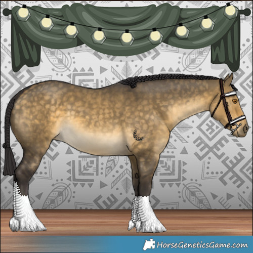 Horse Color:Buckskin Dun