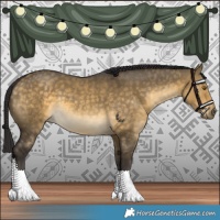 Horse Color:Buckskin Dun 