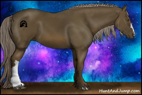 Horse Color:Chocolate Palomino 