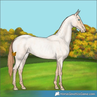 Horse Color:Amber Champagne Roan Pearl 