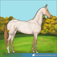 Horse Color:Bay Roan Pearl 