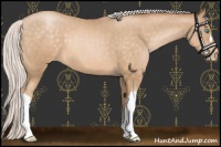 Horse Color:Silver Buckskin Pearl 