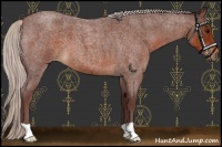 Horse Color:Chocolate Silver Brown Roan