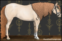 Horse Color:Classic Champagne Roan Pearl 