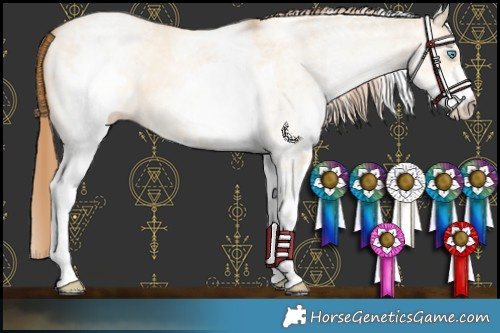 Horse Color:White Spotted Buckskin Pearl Dun 