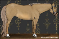 Horse Color:Chocolate Palomino Dun 