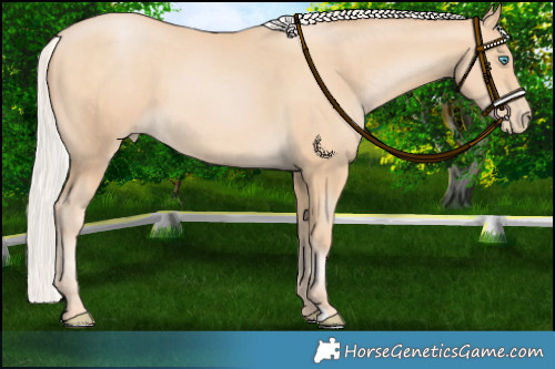 Horse Color:Silver Buckskin Pearl