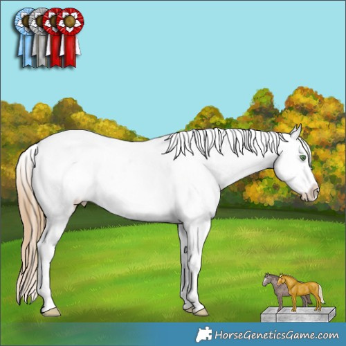 Horse Color:Sable Cream Champagne Appaloosa 
