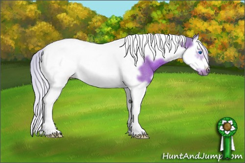 Horse Color:Watercolor White Spotted Silver Brown Splash Tobiano Frame Rabicano 