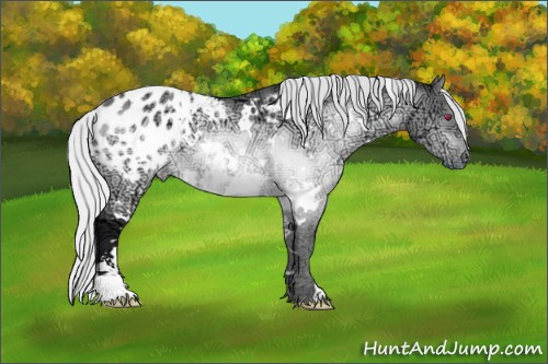 Horse Color:White Spotted Silver Brown Chinchilla Ice Sabino Appaloosa 