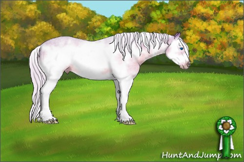 Horse Color:Watercolor White Spotted Silver Brown Sabino Splash Frame 
