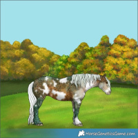 Horse Color:Watercolor White Spotted Silver Bay Ice Frame 