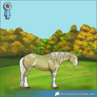 Horse Color:Watercolor White Spotted Silver Brown Pearl Splash Rabicano 