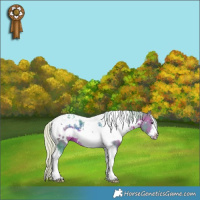 Horse Color:Watercolor White Spotted Silver Brown Tobiano Frame 