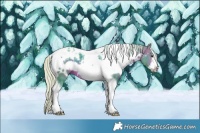 Horse Color:Watercolor White Spotted Silver Brown Tobiano Frame 
