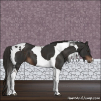 Horse Color:Liver Chestnut Tobiano 