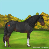 Horse Color:Liver Chestnut Tobiano 