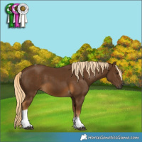 Horse Color:Chocolate Palomino Tobiano 