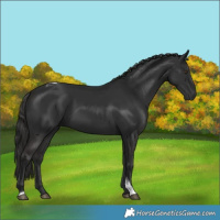 Horse Color:Liver Chestnut Tobiano 