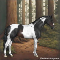 Horse Color:Brown Tobiano 