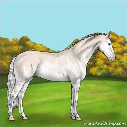 Horse Color:Cremello Splash  and Cremello Splash 