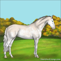 Horse Color:Cremello Splash  and Cremello Splash 