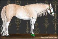 Horse Color:Cremello Splash and Gray Cremello Splash