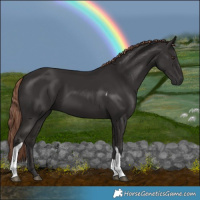 Horse Color:Liver Chestnut Tobiano