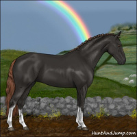 Horse Color:Liver Chestnut Tobiano