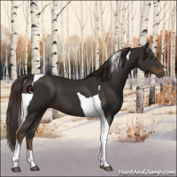 Horse Color:Liver Chestnut Tobiano 