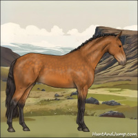 Horse Color:Buckskin 