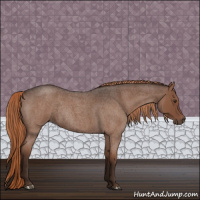 Horse Color:Liver Red Roan Rabicano 