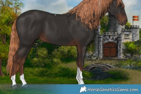 Horse Color:Liver Chestnut Tobiano 