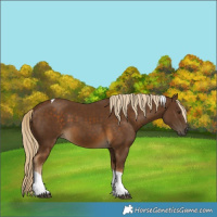 Horse Color:Chocolate Palomino Tobiano 