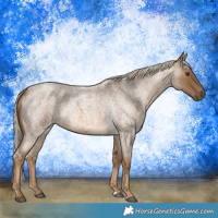 Horse Color:Chocolate Palomino Roan 