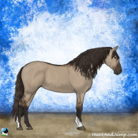 Horse Color:Liver Red Dun Tobiano 