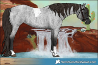 Horse Color:Liver Red Roan Tobiano 
