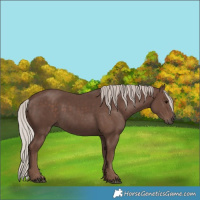 Horse Color:Silver Black 