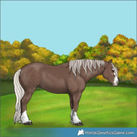 Horse Color:Silver Black 