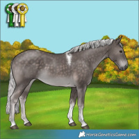 Horse Color:Platinum White Spotted Chocolate Palomino Tobiano 