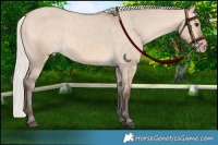 Horse Color:Silver Brown Dun Varnish 
